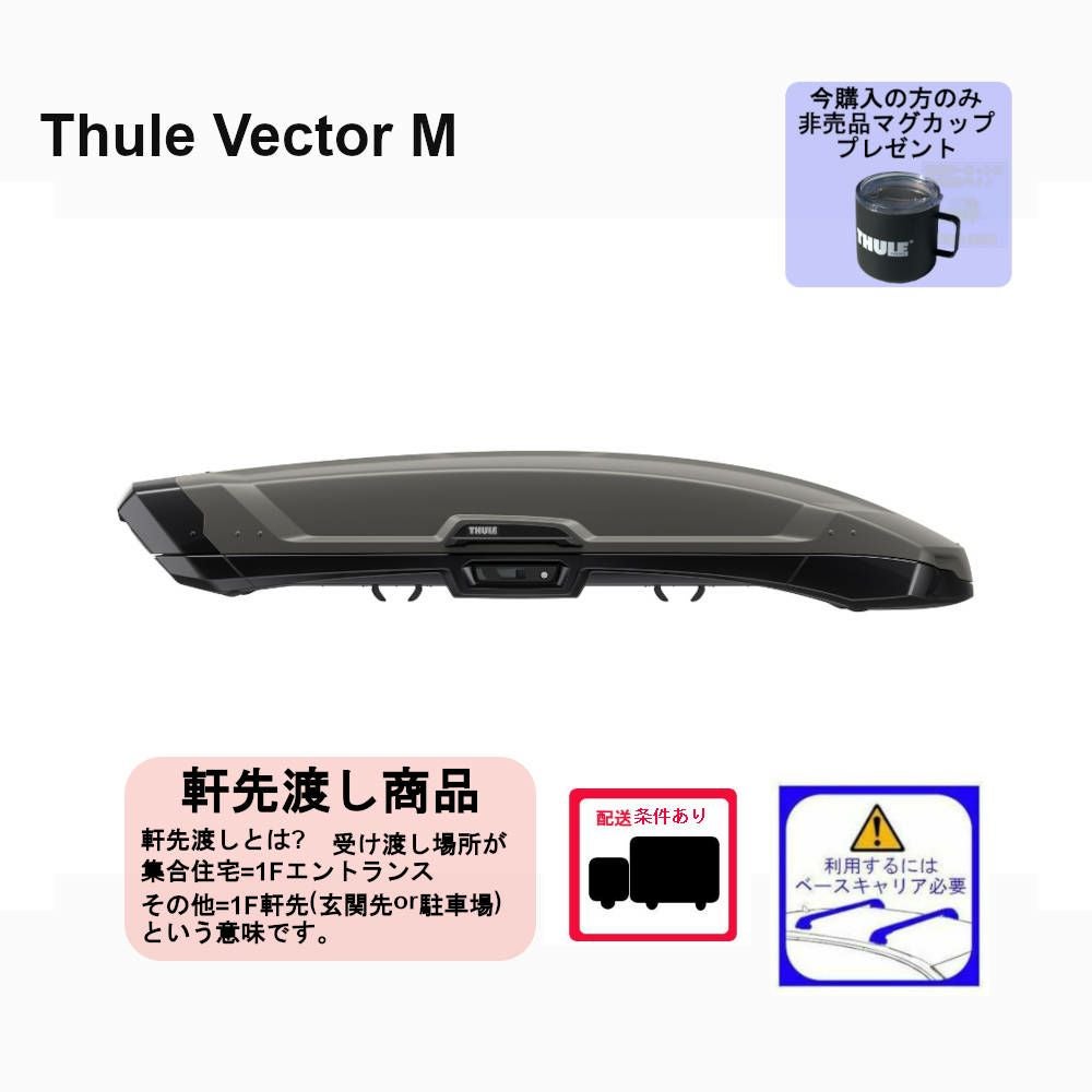 THULE VectorL /ベクターLブラックメタリック th6137-1 ：ジェットバッグ